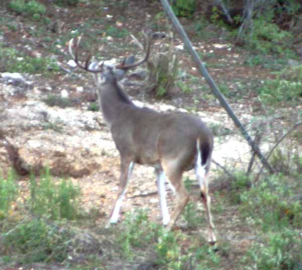 nice8pt1.jpg