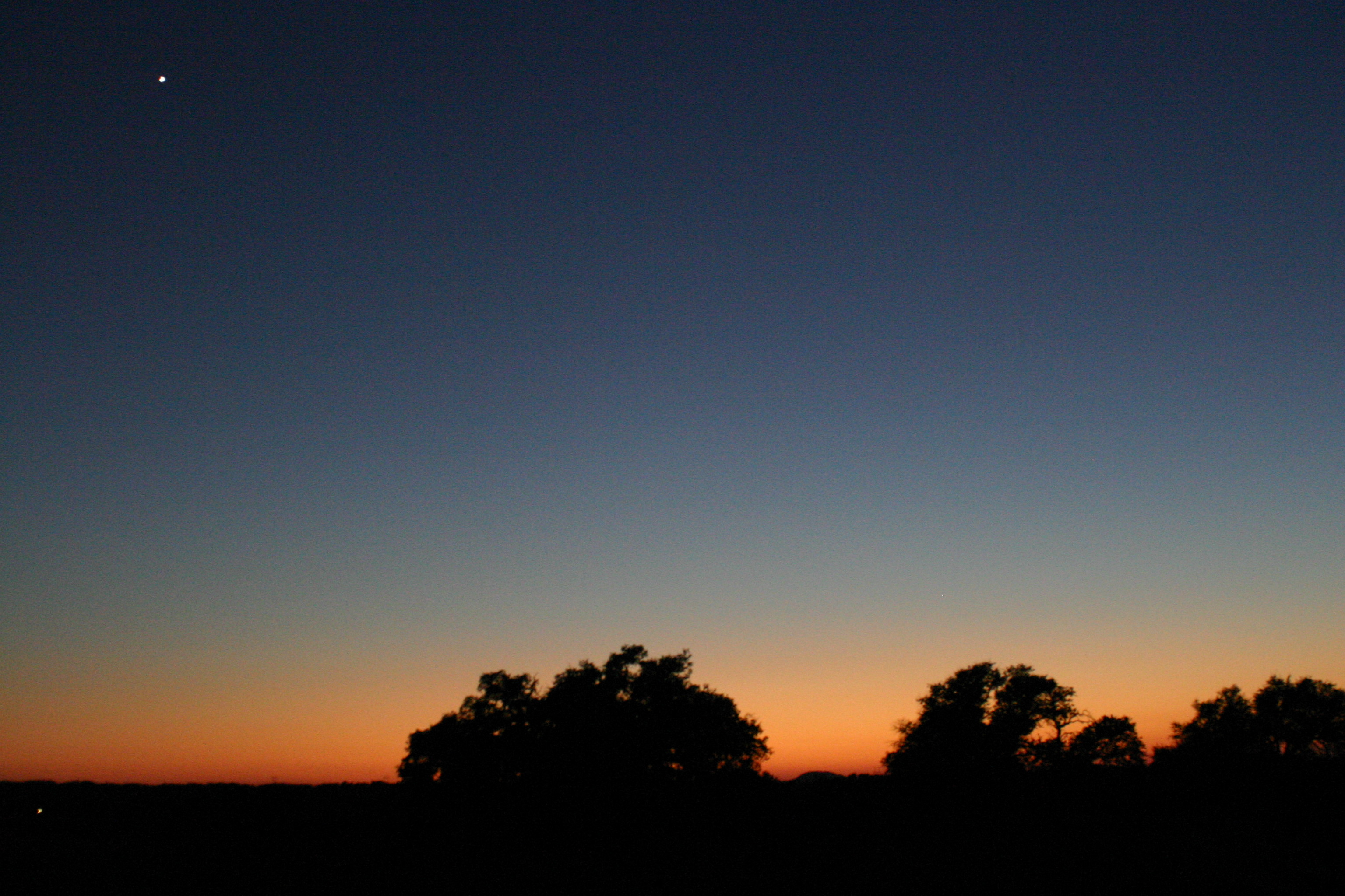 venussunset.jpg