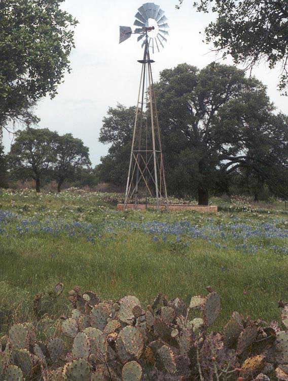 windmill.jpg